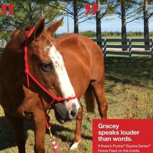 Meet your Posher, Cesar